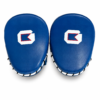 Training Coaching Focus Pads